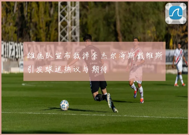 雄鹿队宣布裁掉奈杰尔海斯戴维斯引发球迷热议与期待