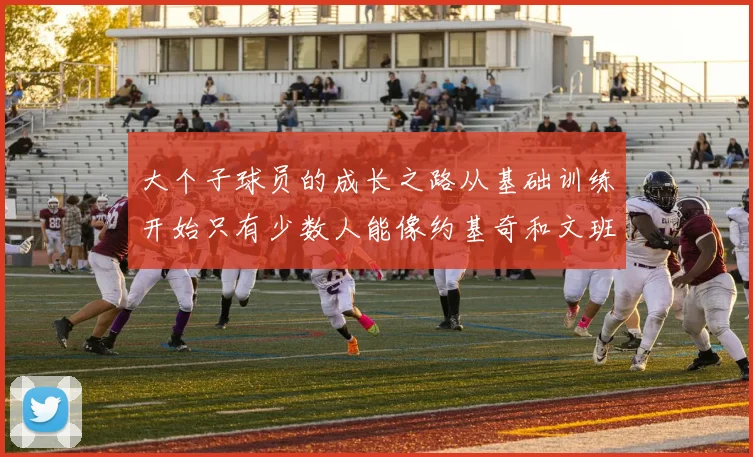 大个子球员的成长之路从基础训练开始只有少数人能像约基奇和文班那样成功